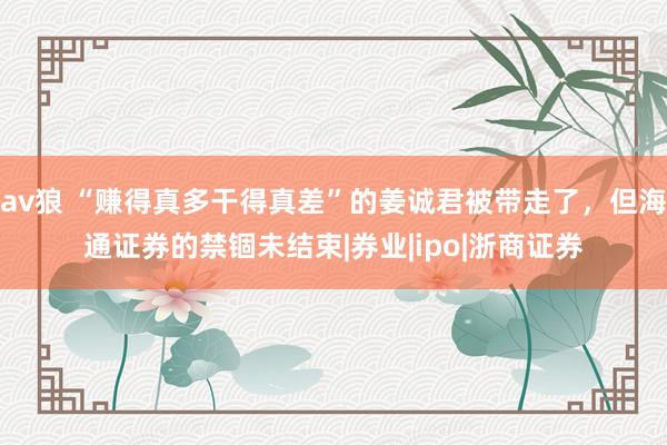 av狼 “赚得真多干得真差”的姜诚君被带走了，但海通证券的禁锢未结束|券业|ipo|浙商证券