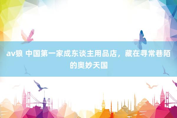 av狼 中国第一家成东谈主用品店，藏在寻常巷陌的奥妙天国