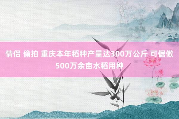 情侣 偷拍 重庆本年稻种产量达300万公斤 可倨傲500万余亩水稻用种