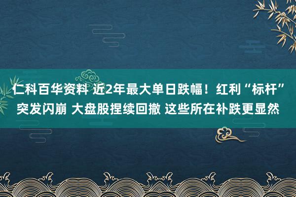 仁科百华资料 近2年最大单日跌幅！红利“标杆”突发闪崩 大盘股捏续回撤 这些所在补跌更显然