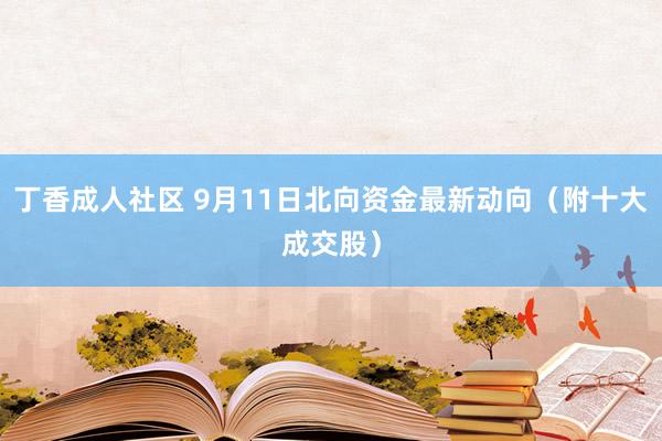 丁香成人社区 9月11日北向资金最新动向（附十大成交股）