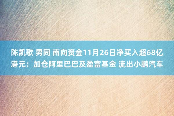 陈凯歌 男同 南向资金11月26日净买入超68亿港元：加仓阿里巴巴及盈富基金 流出小鹏汽车