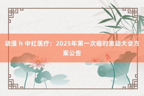 动漫 h 中红医疗：2025年第一次临时激动大会方案公告