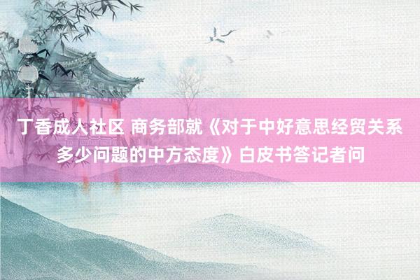 丁香成人社区 商务部就《对于中好意思经贸关系多少问题的中方态度》白皮书答记者问